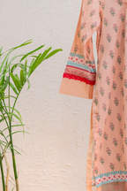 Peach lawn sleeve with bold pink lace finishing