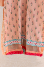 Contrast lace border on peach Eid pret daman